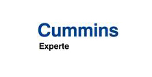 Cummins Cummins